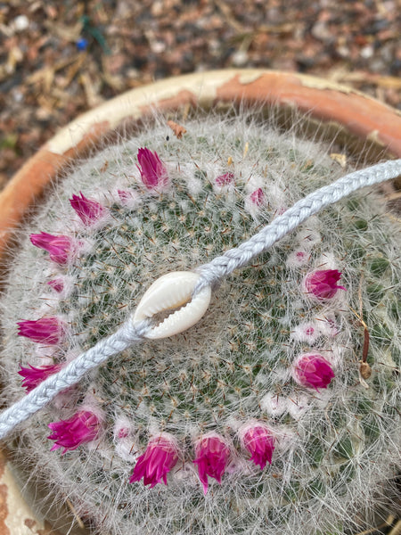 Bracelet en fils tressés avec coquillage cauri naturel