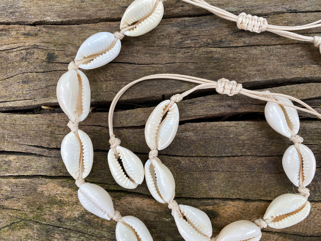 Les coquillages cauris - Le blog du Balafon vous propose un carnet de Les coquillages cauris - Le blog du Balafon vous propose un carnet de